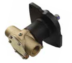 "FLANŞLI POMPA 3/4"""