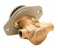 "SHERWOOD DENİZ SUYU POMPASI M71     1.1/4"""